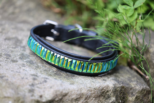 Dog Collar Jamaica