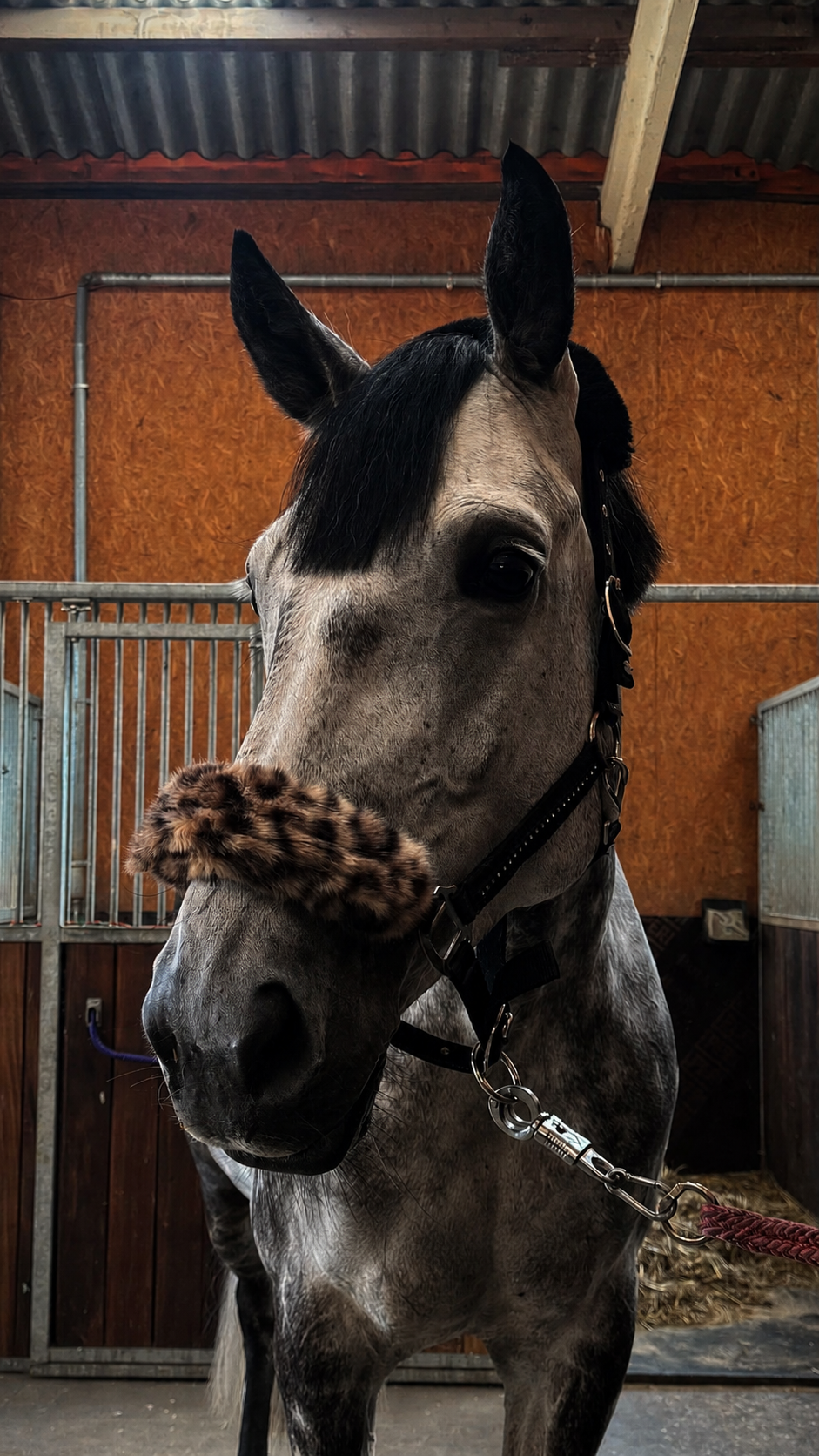 Leopard Luxe Nose Cover