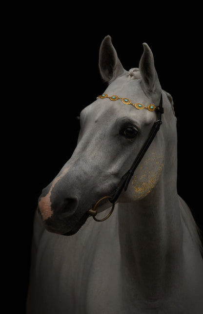 Pferdeschmuck Aquaris