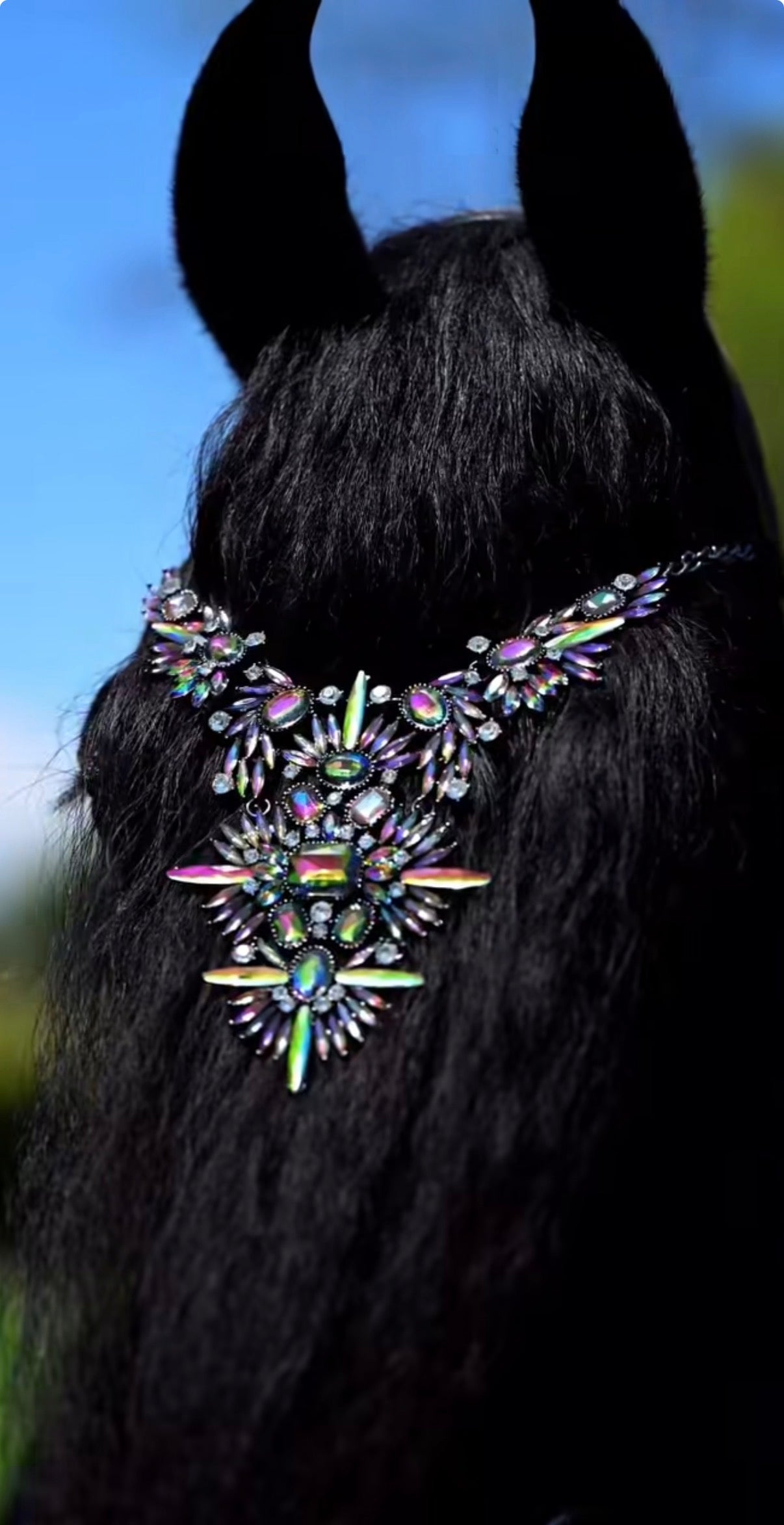 Pferdeschmuck Copacabana