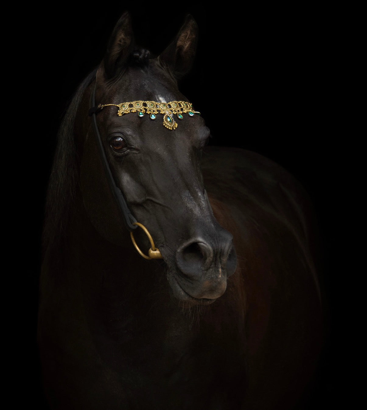 Pferdeschmuck Medina