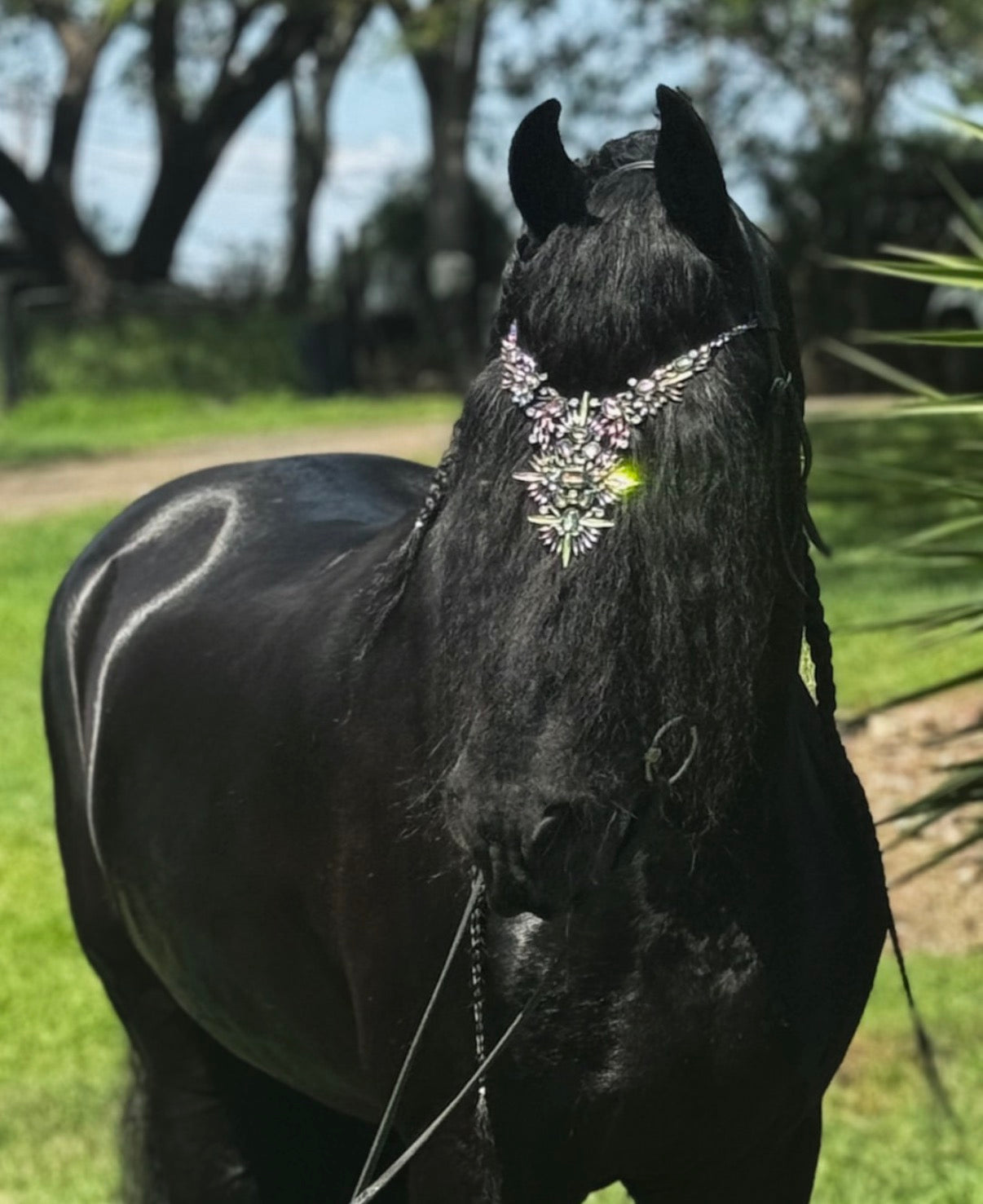 Pferdeschmuck Copacabana