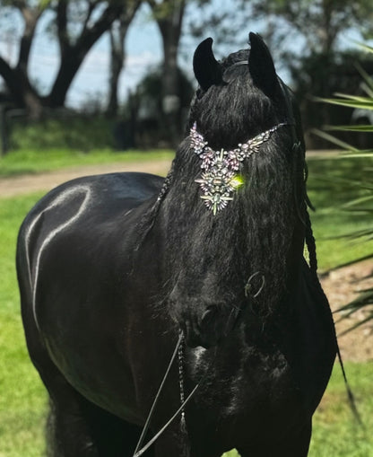 Pferdeschmuck Copacabana