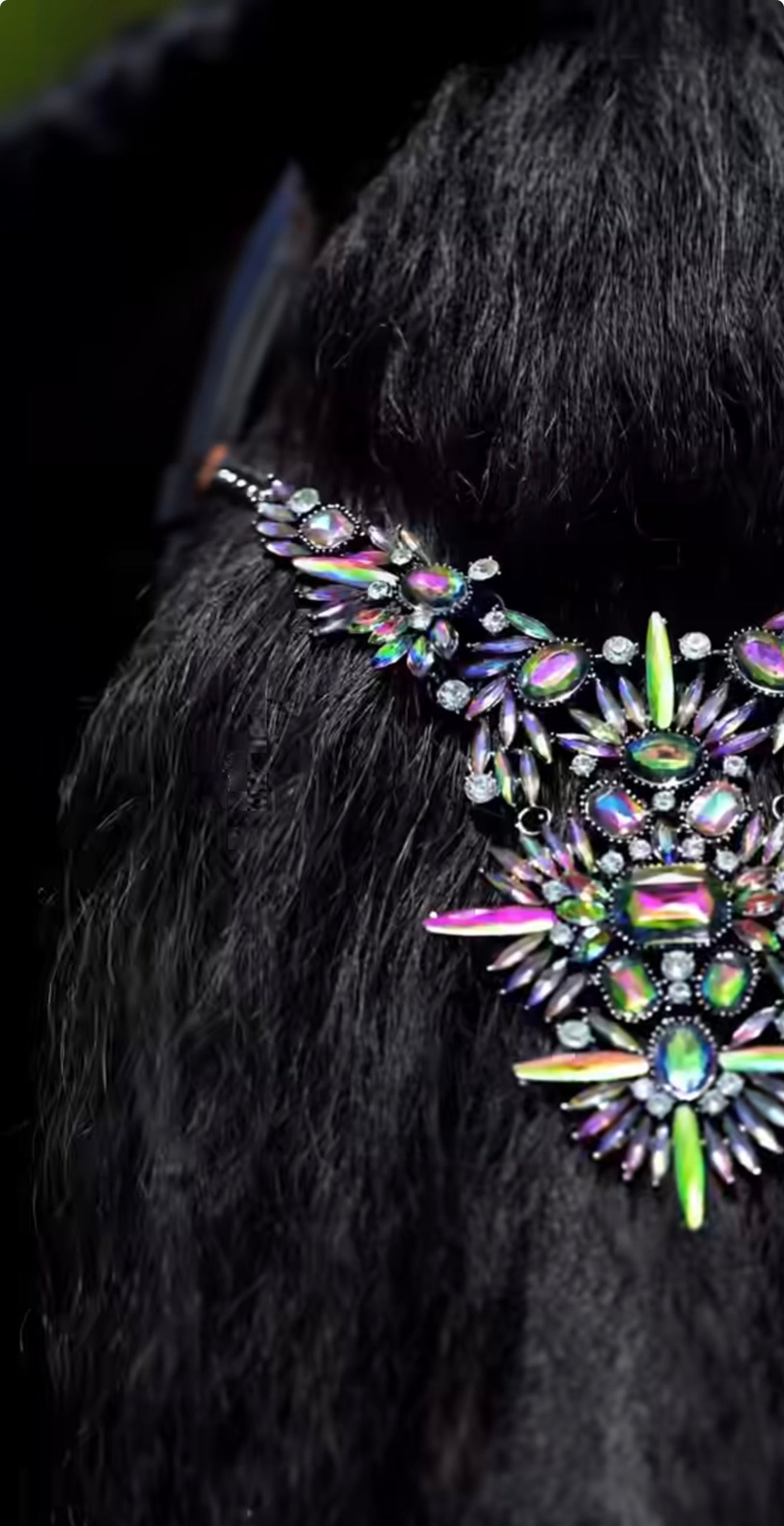 Pferdeschmuck Copacabana