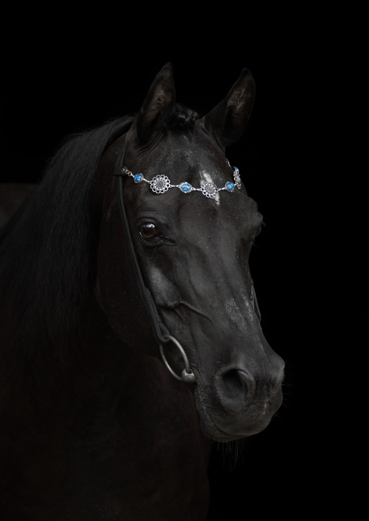 Pferdeschmuck Blue Iris