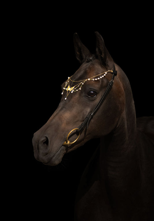 Pferdeschmuck Green Butterfly