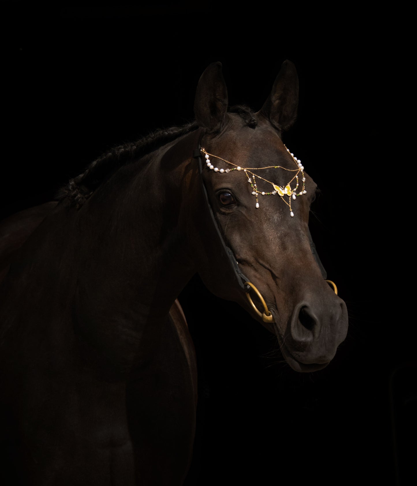 Pferdeschmuck Green Butterfly