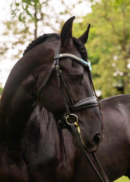 Stirnriemen Bella Blue