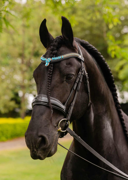 Stirnriemen Bella Blue