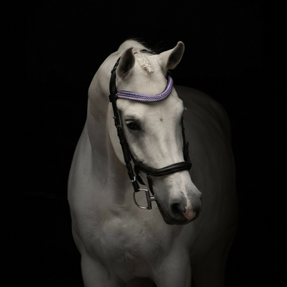 Stirnriemen Purple Ice