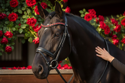 Red Hearts Stirnriemen