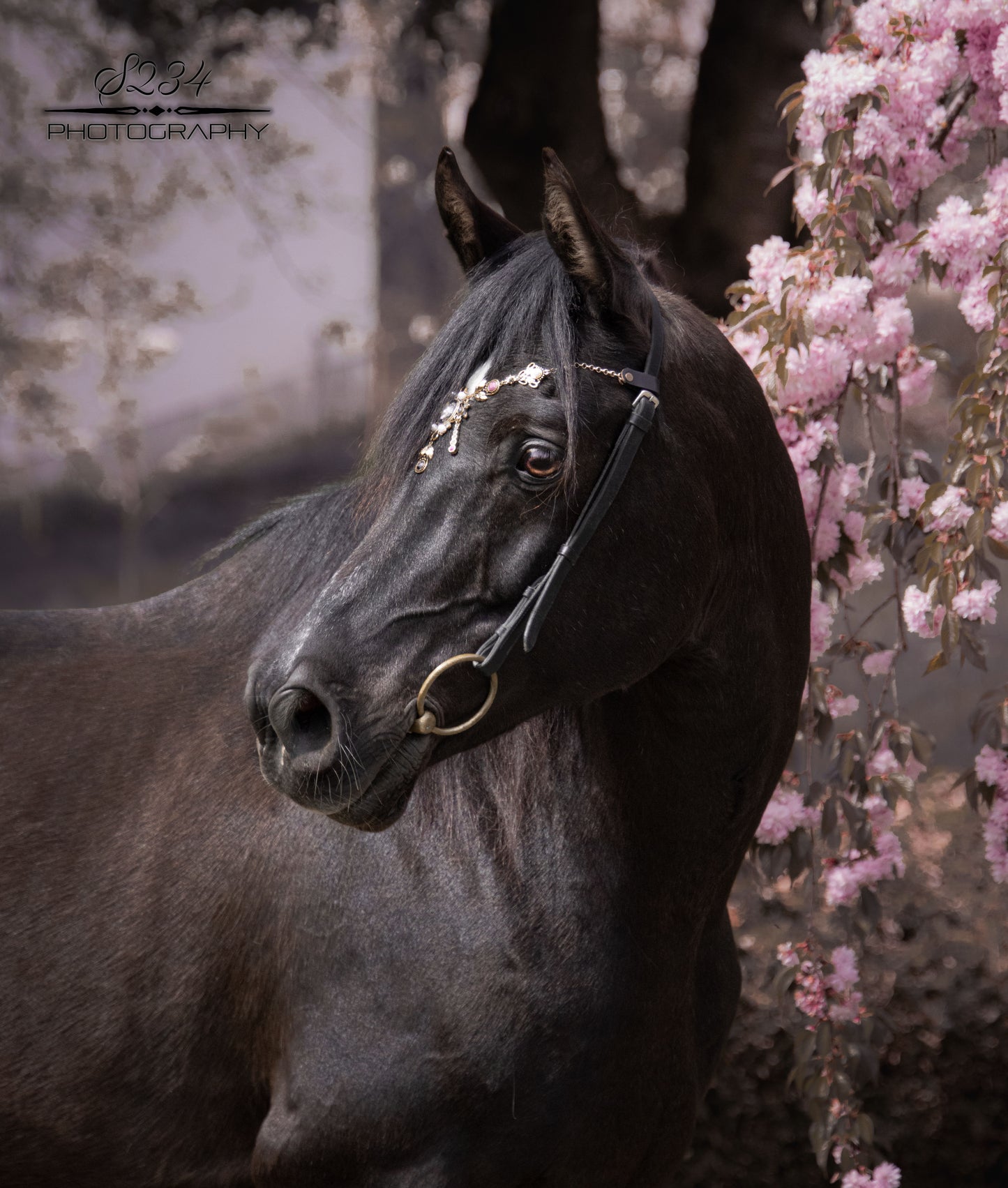 Pferdeschmuck Barock