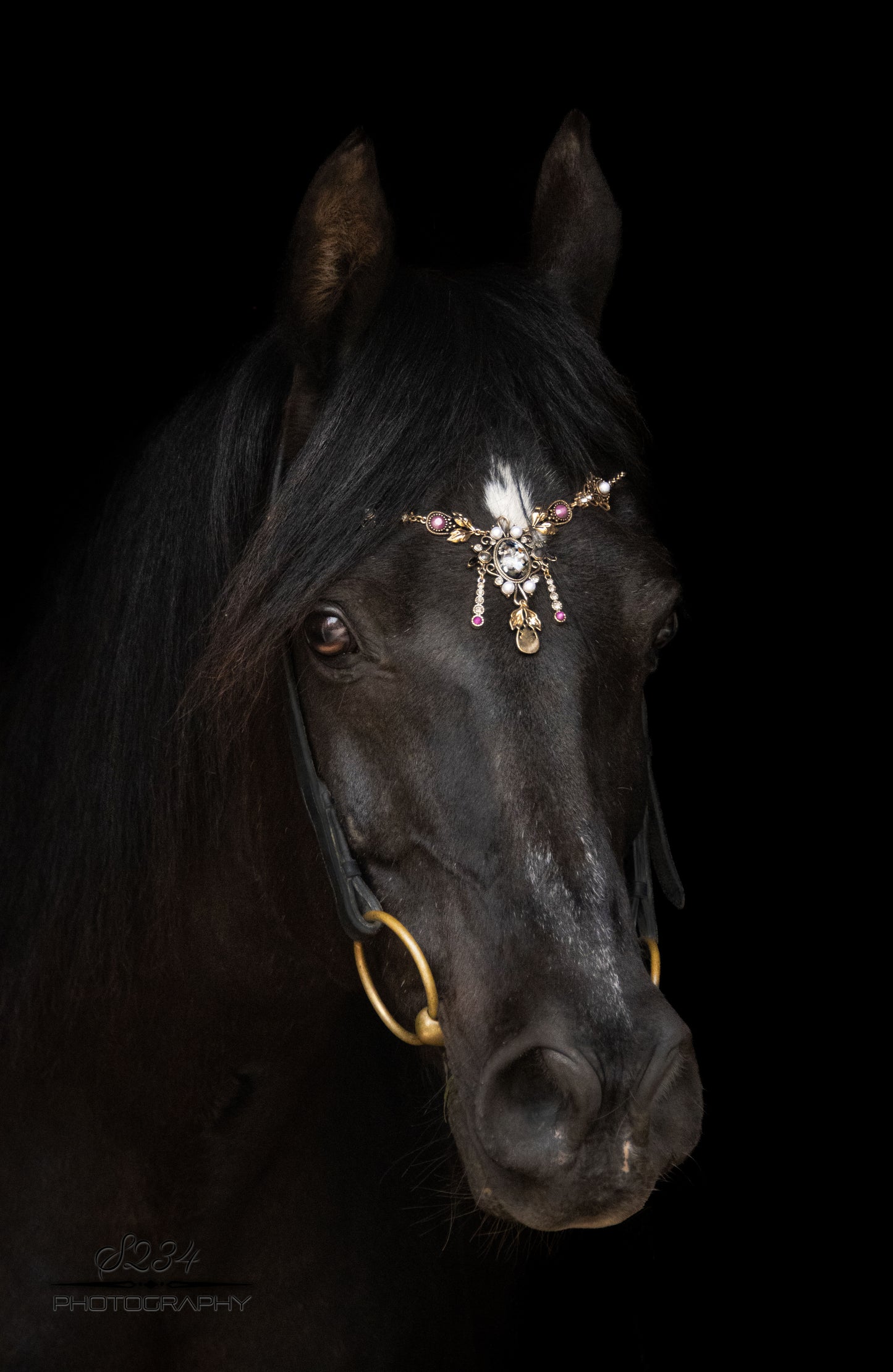 Pferdeschmuck Barock