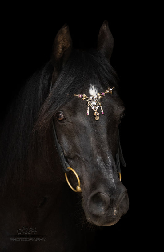 Pferdeschmuck Barock