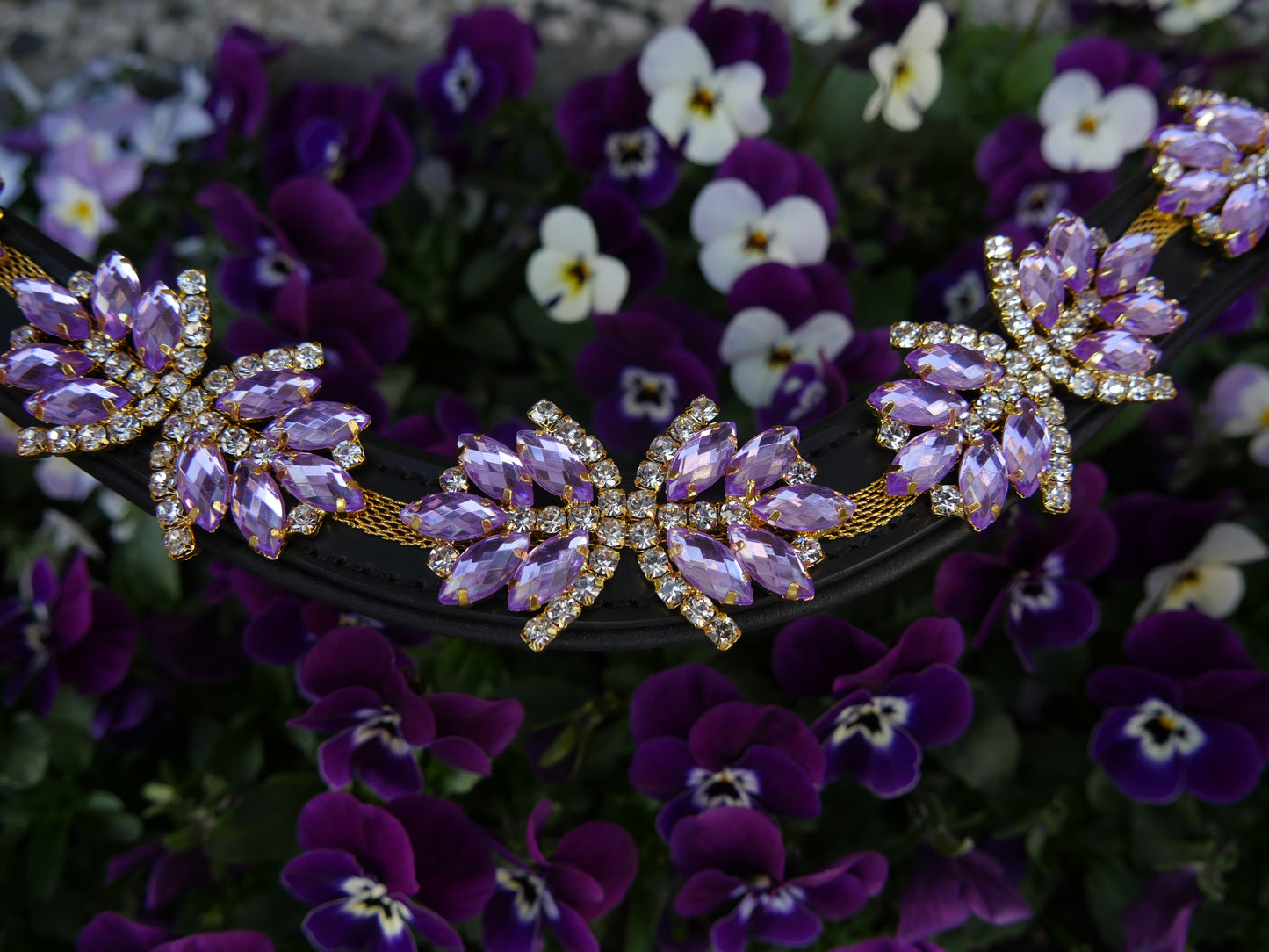 Stirnriemen Superstar in Lila Gold