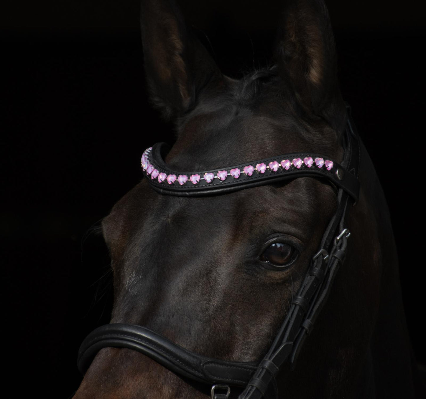 Stirnriemen Pink Hearts