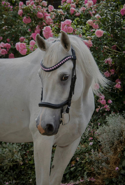 Stirnriemen Pink Hearts