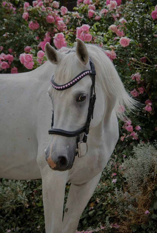 Stirnriemen Rosé Hearts