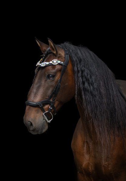 Stirnriemen Paradise