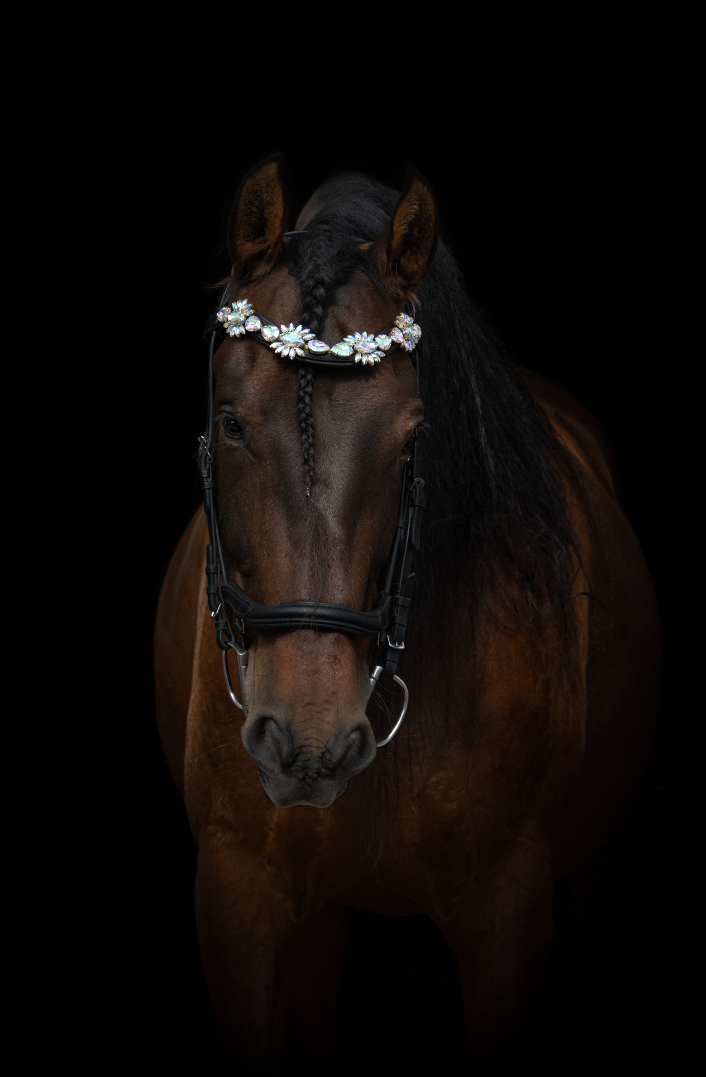 Stirnriemen Paradise