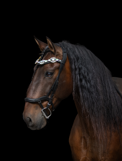 Stirnriemen Paradise