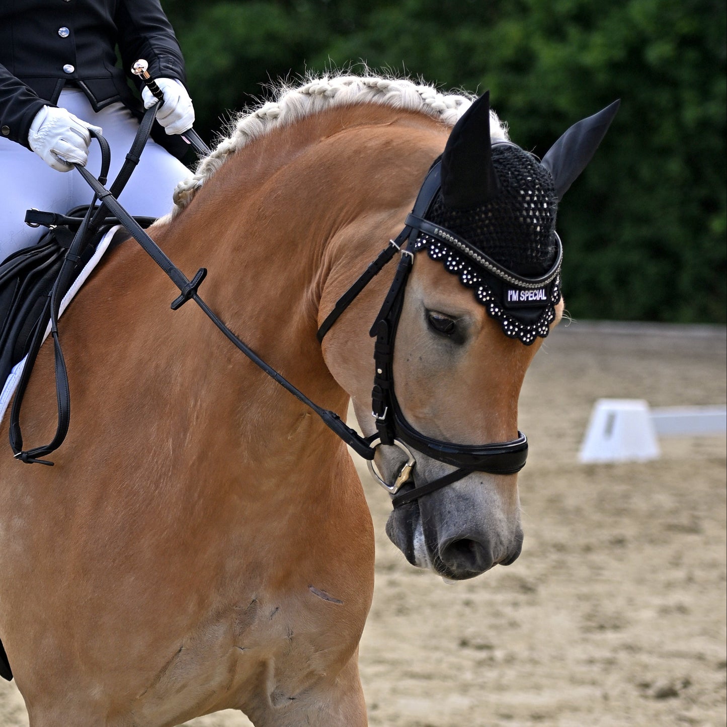 Fliegenohren "Mama say´s I´m Special"