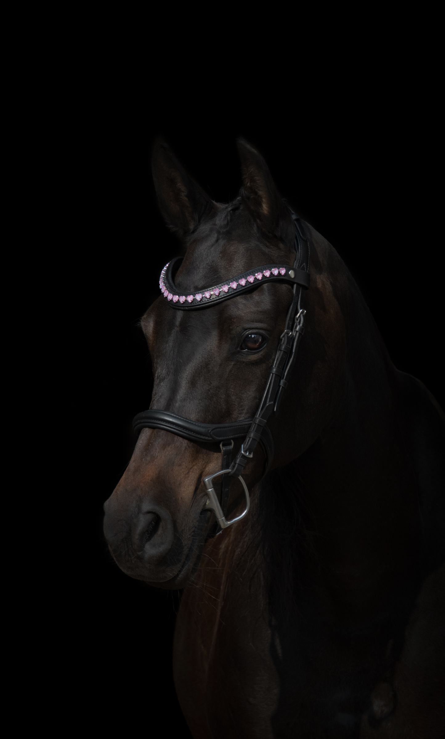 Stirnriemen Pink Hearts