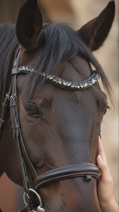 Stirnriemen Black Pearl
