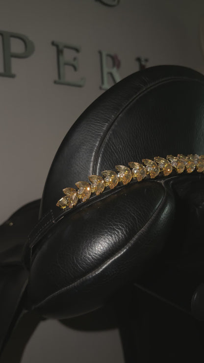 Sattelschmuck Damiro‘s Golden Dream