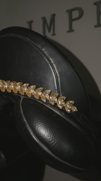 Sattelschmuck Damiro‘s Golden Dream