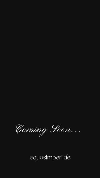 Sattelschmuck Golden Matador