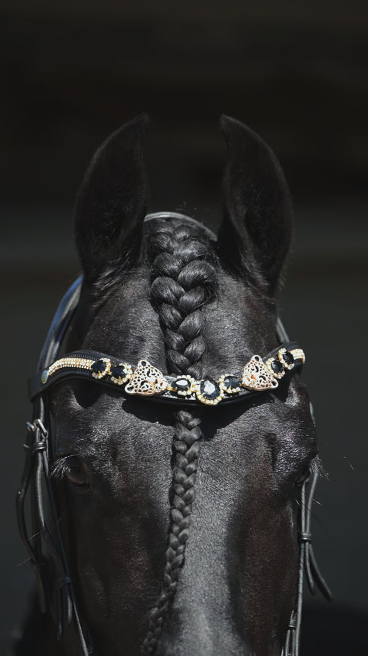 Stirnriemen Golden Tiger
