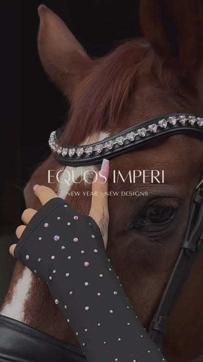 𝐏𝐑𝐄 𝐎𝐑𝐃𝐄𝐑 Reitjacke Black Swan