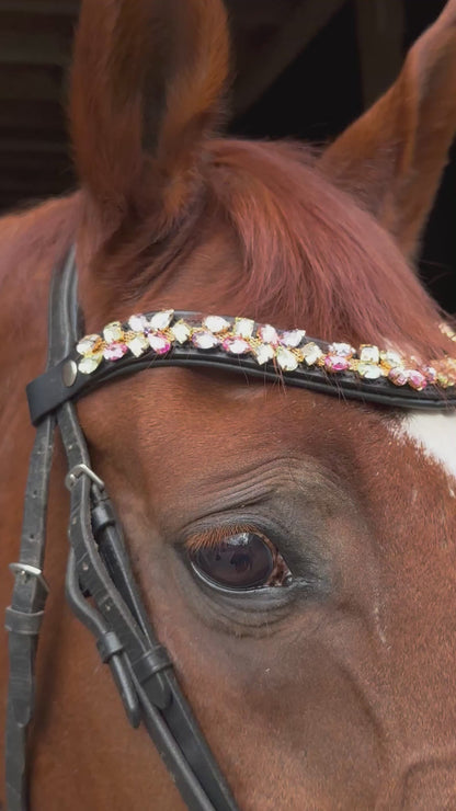 Stirnriemen Showtime